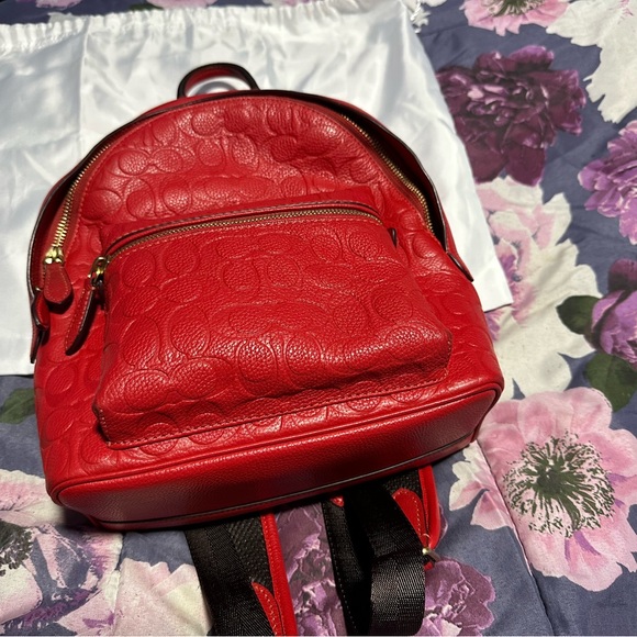 Coach Backpack. Brand new runs over $400. Asking $350. - Picture 7 of 9